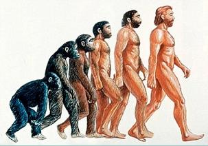 evolutie